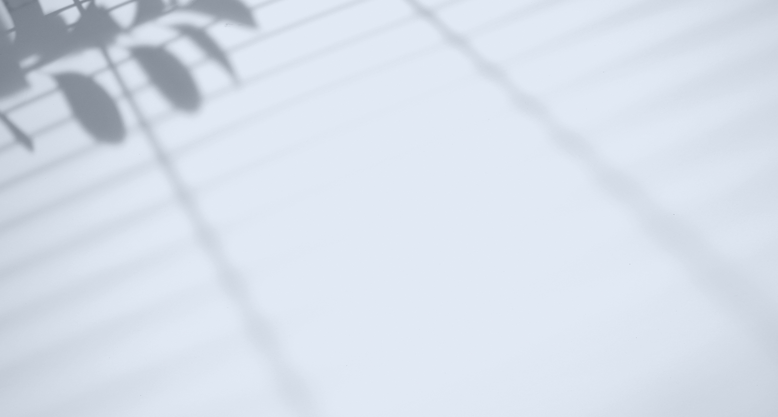 fontliner-top-bg